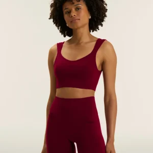 Seamless Sport Top Light Support Sweetheart - Rumba Red