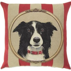 Kuddfodral Border Collie