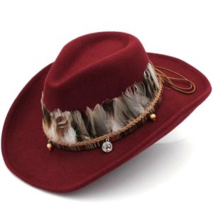 Cowboyhatt med fjäder från landet